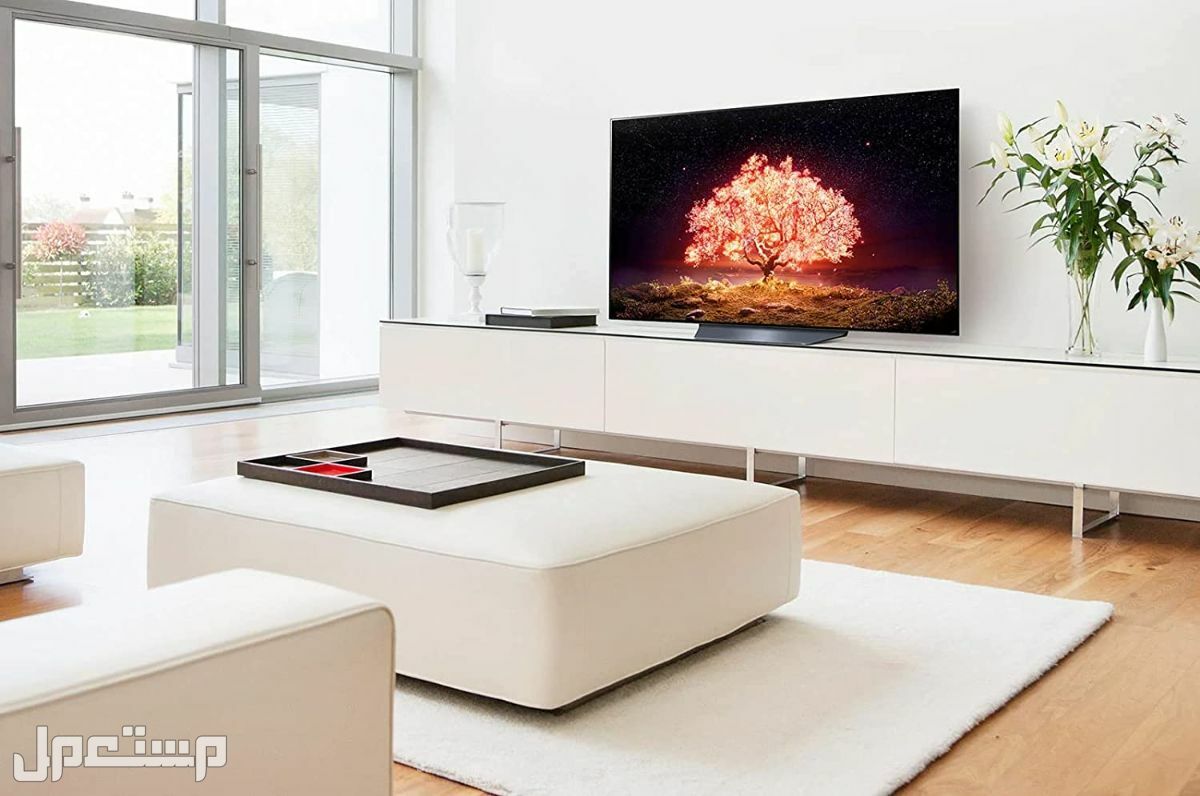 افضل انواع الشاشات سمارت بالمواصفات والصور والأسعار شاشات سمارت نوع LG