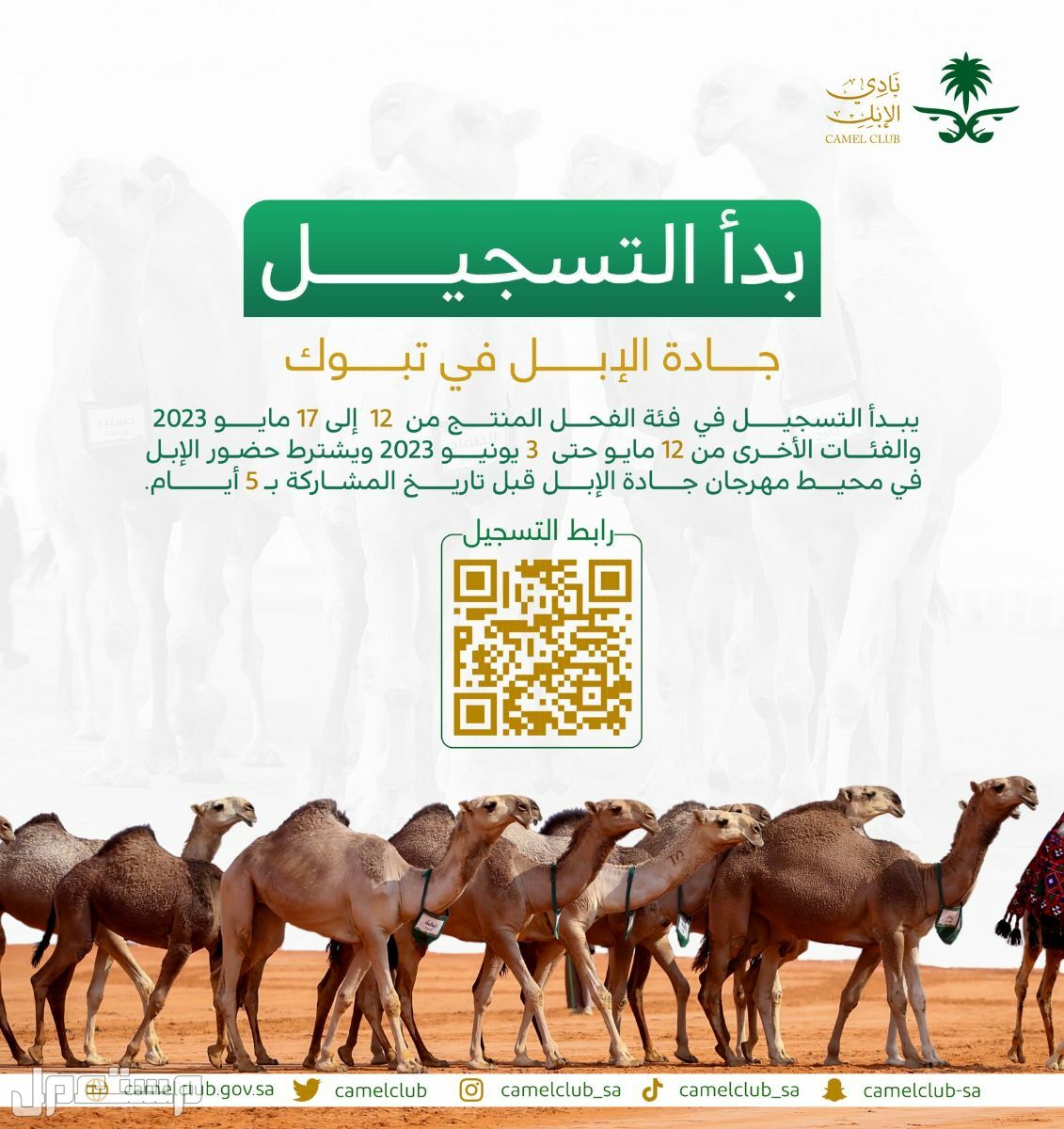 تعرف على رسوم التسجيل في مهرجان جادة الإبل بتبوك 1444 في الإمارات العربية المتحدة بدء التسجيل في مهرجان جادة الإبل