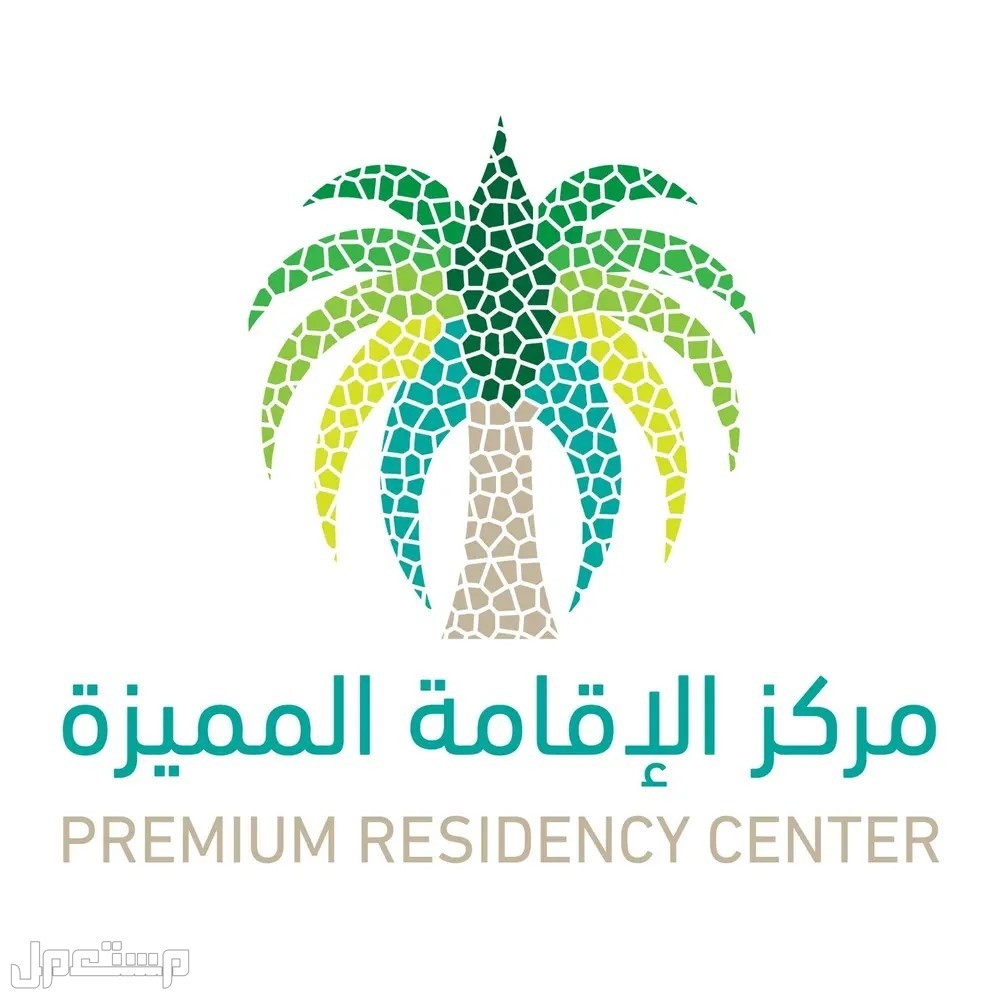تعرف على شروط الإقامة المميزة حسب النظام الجديد في الإمارات العربية المتحدة