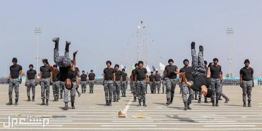 خطوات الاستعلام عن نتائج القبول النهائي لقوات الأمن الخاصة 1444 في الإمارات العربية المتحدة