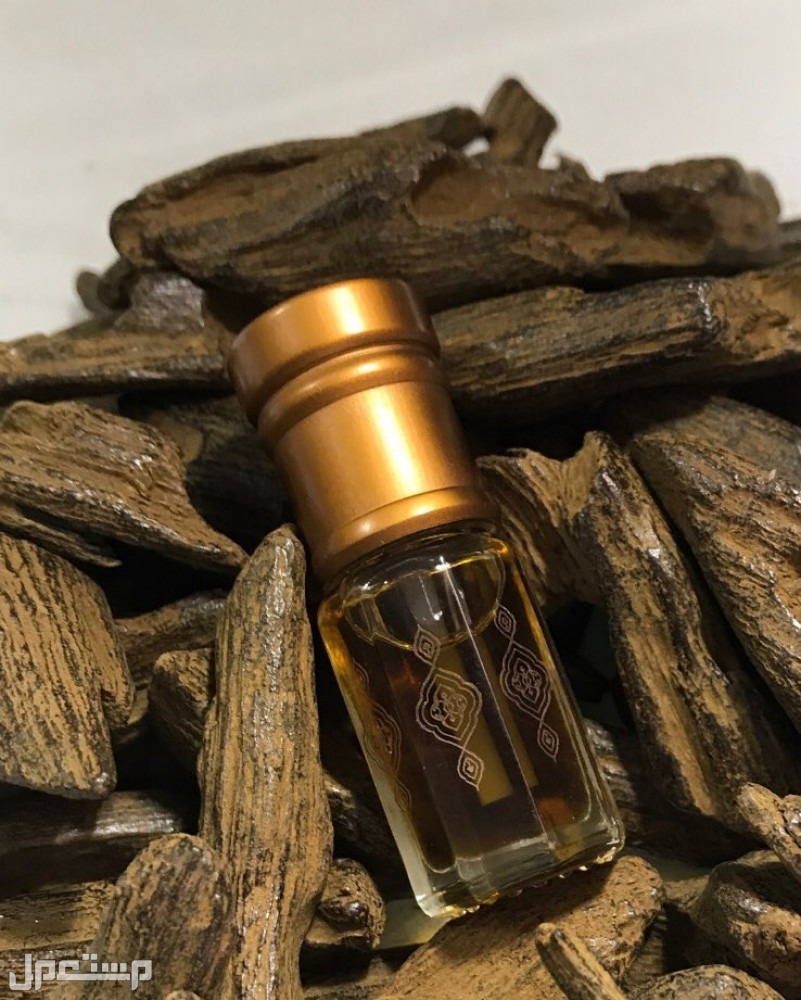 أفضل عطر عود ومواصفاته وأسعاره كاملة مسك العود