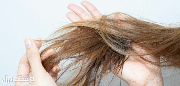 أفضل ماسك ترطيب الشعر ومواصفات وأسعار كاملة شعر مأصف
