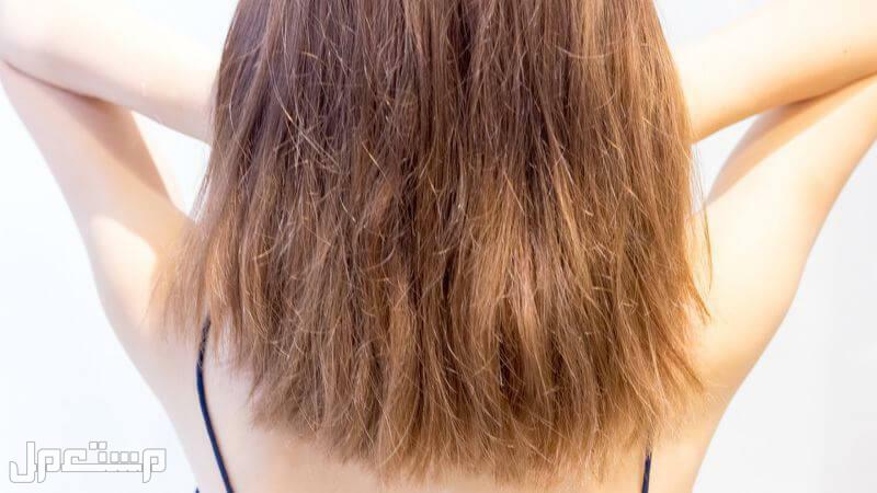 أفضل ماسك ترطيب الشعر ومواصفات وأسعار كاملة شعر ضعيف