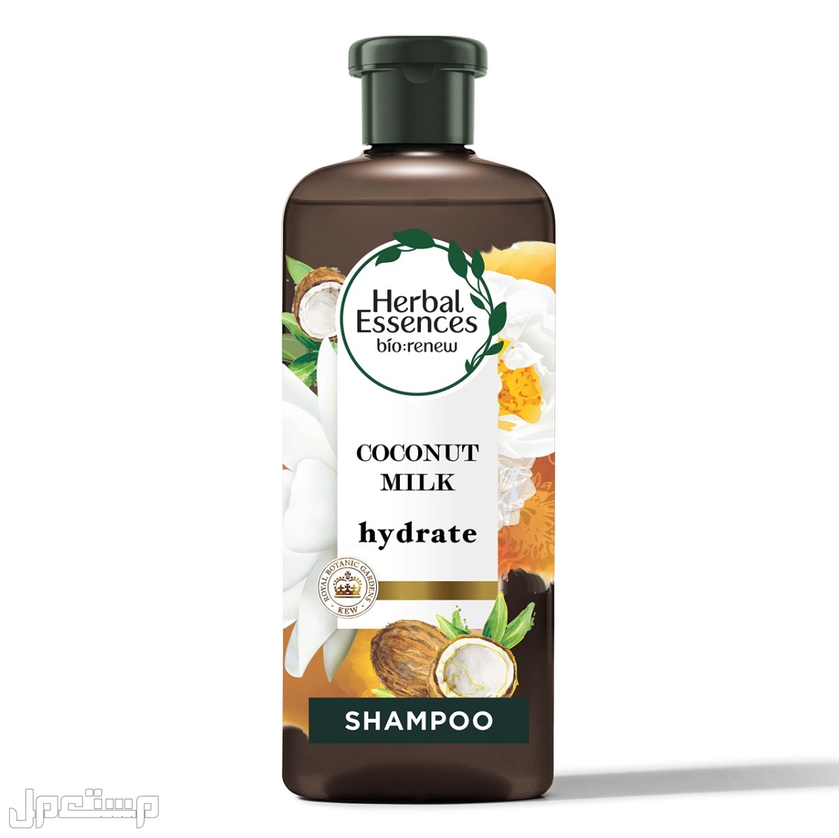 أفضل شامبو للشعر الجاف شامبو هيربل BioRenew Coconut Milk