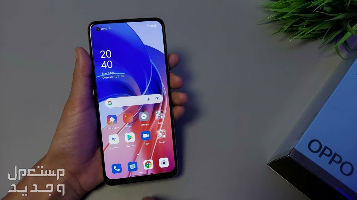 مواصفات وسعر هاتف اوبو oppo A55 الاقتصادي