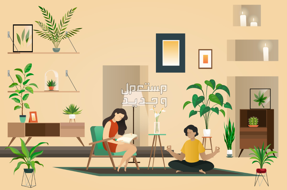فوائد النباتات في المنزل.. 8 فوائد صحية ونفسية لا غنى عنها تعرف عليها