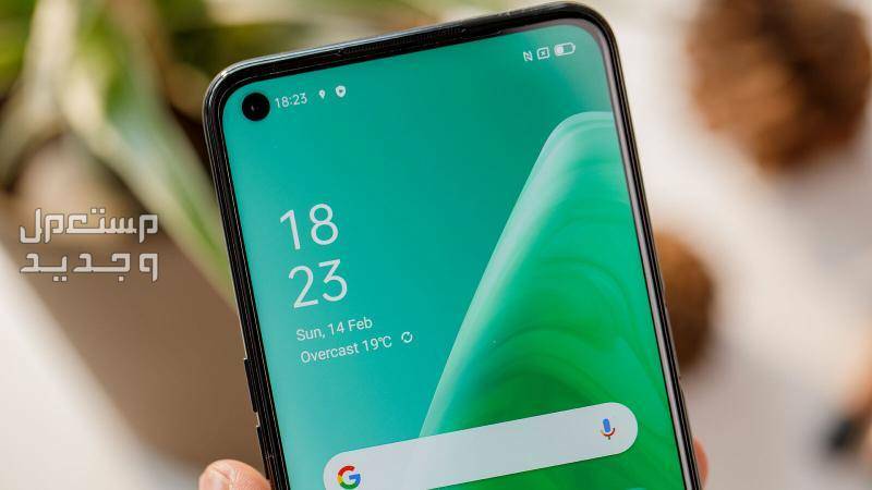 مواصفات وسعر اوبو oppo a55 الاقتصادي هل يستحق الشراء؟