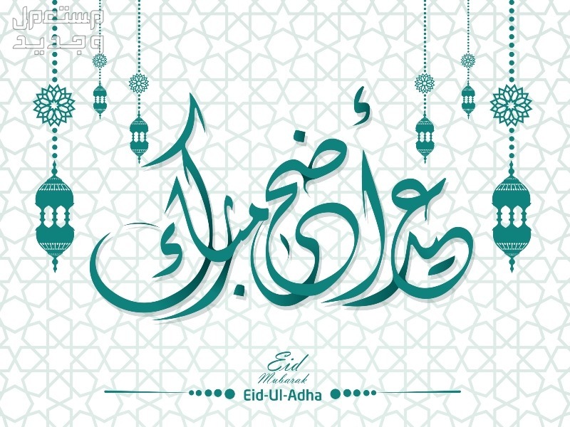 أجمل عبارات ورسائل تهنئة عيد الأضحى المبارك 2024 للأهل والأصدقاء تهنئة عيد الأضحى