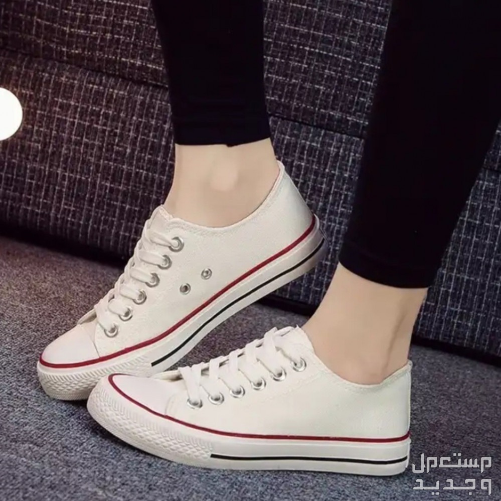 اسعار احذية كونفرس النسائية