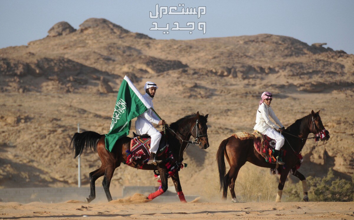 تعرف على كل ما يخص الخيل العربي سعوديين يركبون خيول