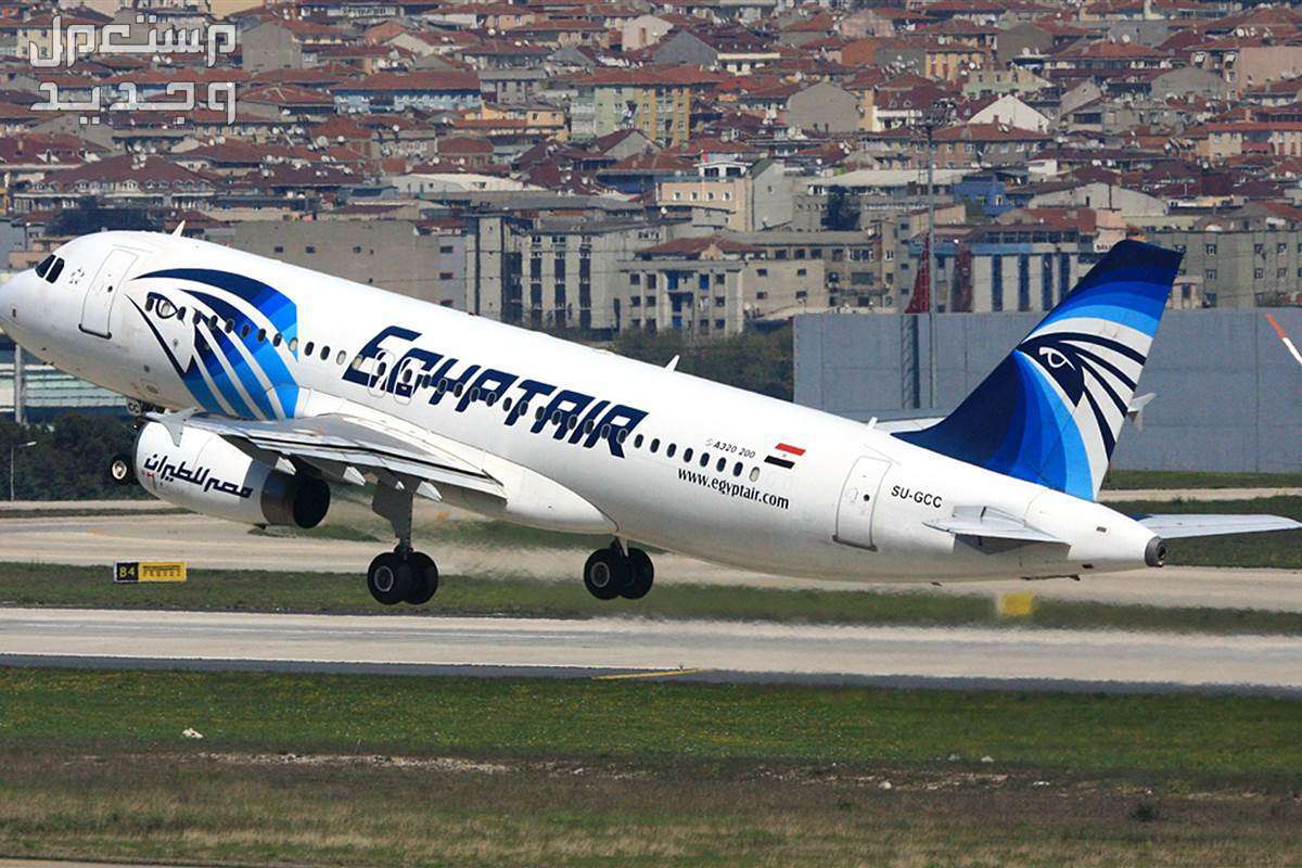 استعلام عن تذكرة مصر للطيران في خطوات بسيطة وسهلة 'طائرة شركة مصر للطيران