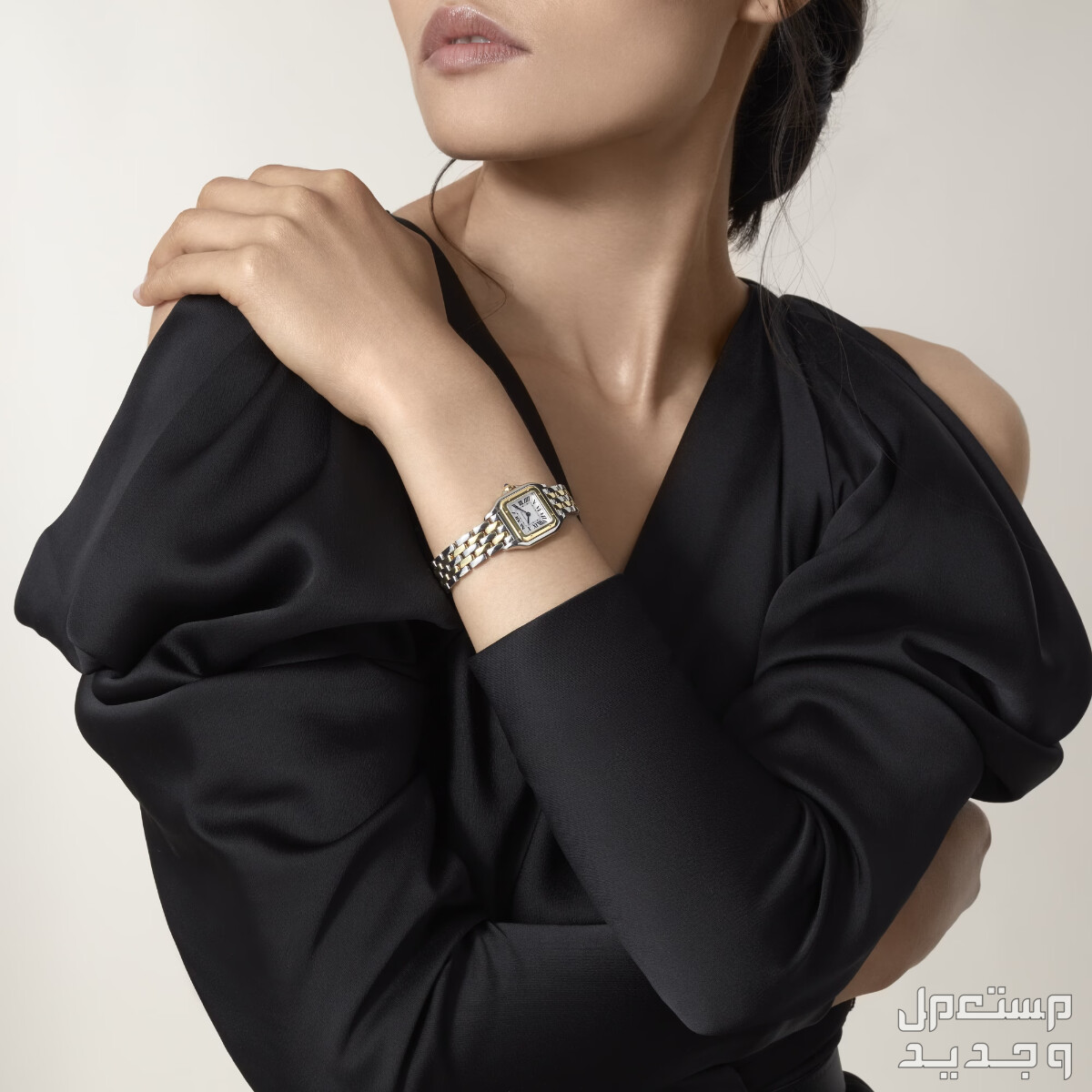 أحدث أسعار 10 ساعات فاخرة من كارتير cartier سعر ساعة بانثير دو كارتييه