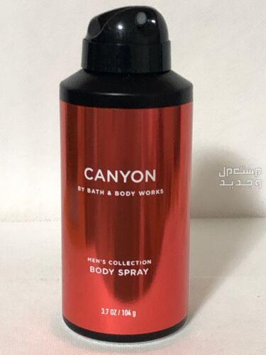 أفضل منتجات باث اند بودي الرجالية مزيل عرق canyon