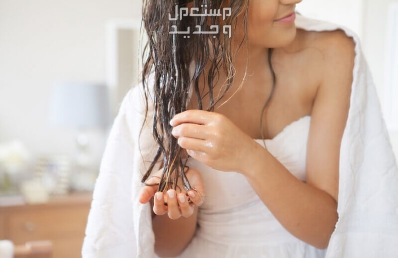 مواصفات أفضل 5 كريمات للشعر الجاف طريقة وضع الكريم على الشعر