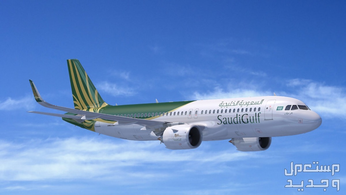 حجز طيران داخلي بالسعودية مع اشهر الشركات طائرة شركة السعودية الخليجية تحلق في السماء