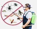 شركة رش ومكافحة الحشرات بالرياض في الرياض