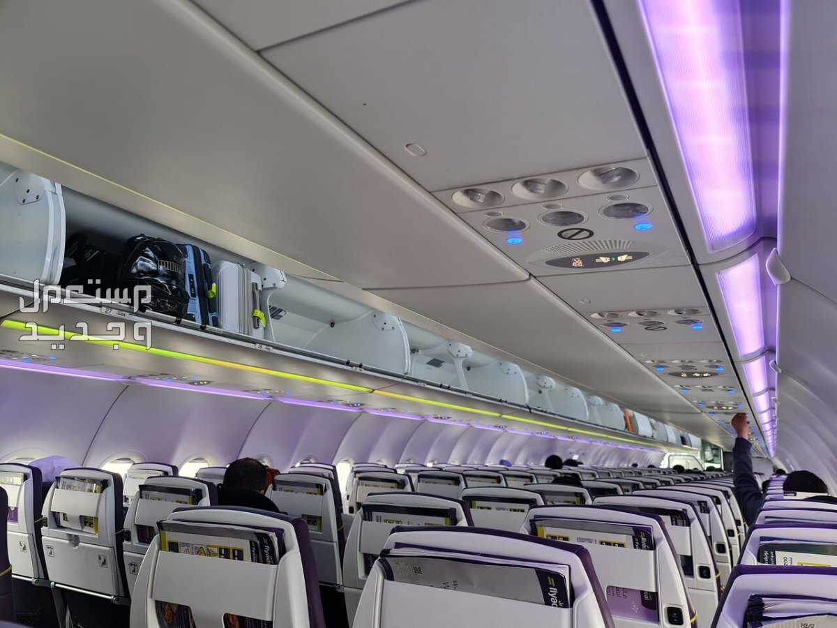 اسعار الطيران عبر فلاي اديل من السعودية لمصر مقاعد طائرة فلاي اديل
