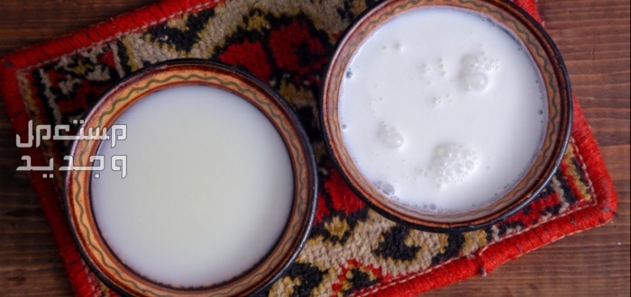 تعرف على أسباب تفوق حليب الابل في الأردن حليب الابل وحليب البقر