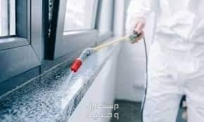 شركة تنظيف بالبخار بمكة  رش حشرات بمكة  عقود نظافة ومكافحة حشرات بمكة تنظيف وعزل خزنات بمكة في مكة المكرمة