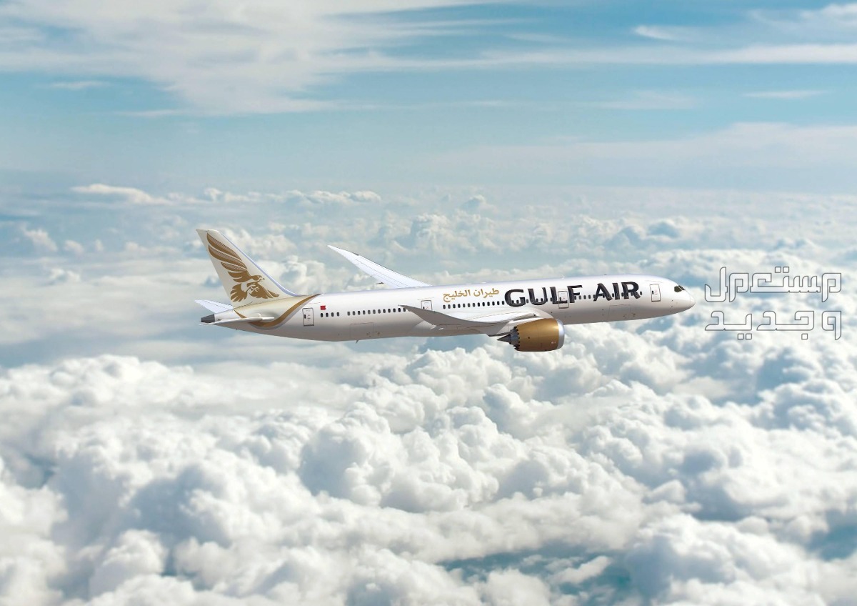 حجز طيران الخليج الخطوات بالتفصيل طائرة شركة طيران الخليج تحلق فوق السحاب