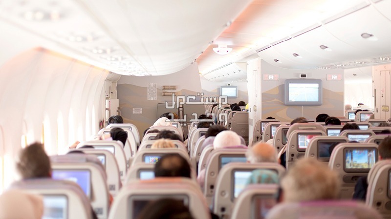 حجز ارخص طيران يتم بهذه الطرق الستة مقاعد الدرجة الاقتصادية