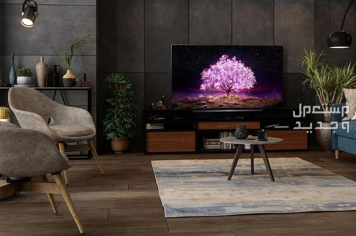 سعر شاشة lg 49 بوصة سمارت 4k في كارفور السعودية وهذه مميزاتها شاشة lg 49 بوصة سمارت 4k صوت دولبي مجسم