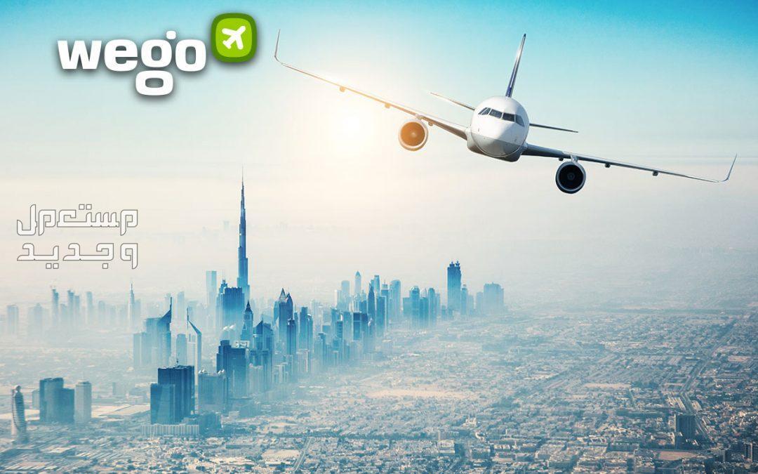 حجز رحلات الطيران عبر موقع ويجو الشهير طائرة تحلق على يمين الصورة ويظهر لوجو ويجو على اقصى اليسار
