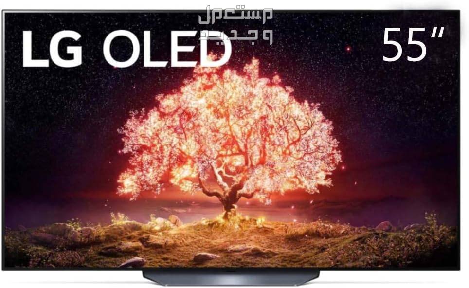 انواع شاشات التلفزيون بالماركات والمواصفات الكاملة والصور والأسعار شاشة التلفزيون نوع OLED من ماركة LG موديل OLED55B1PVA