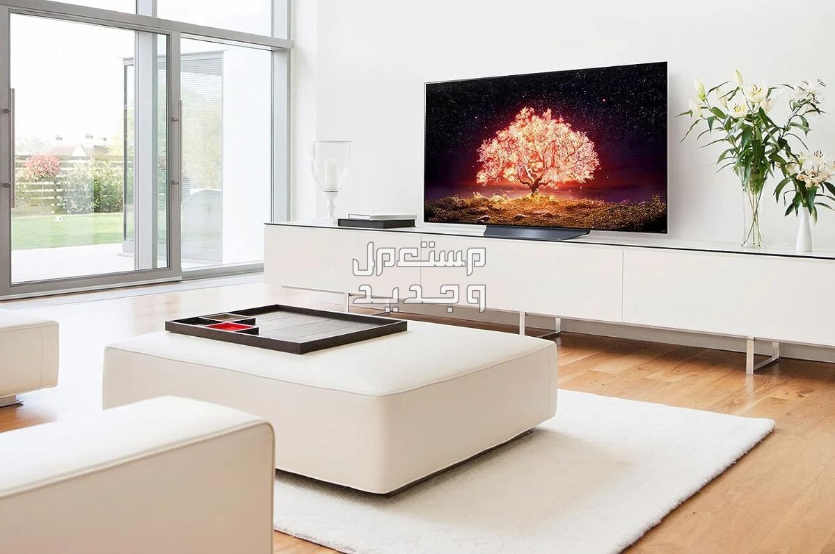 انواع شاشات التلفزيون بالماركات والمواصفات الكاملة والصور والأسعار في السعودية شاشة التلفزيون نوع OLED من ماركة LG موديل OLED55B1PVA