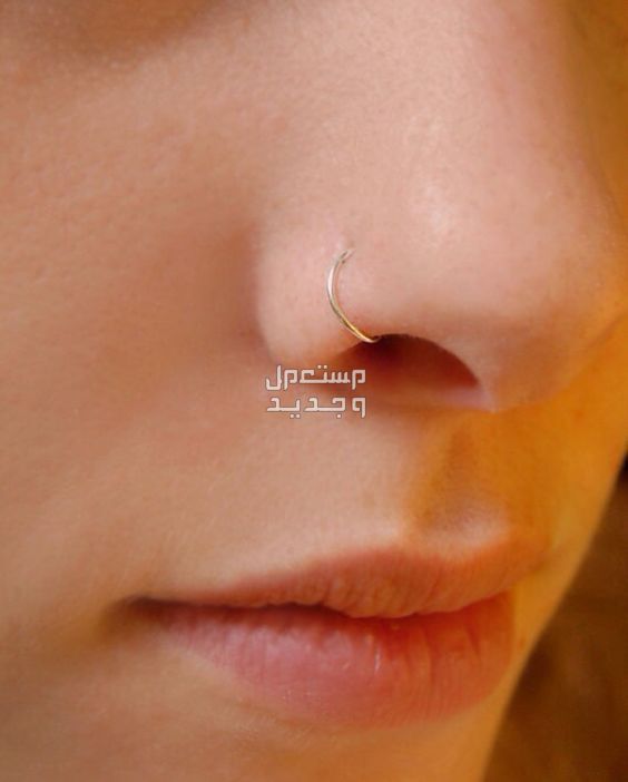 أشكال بيرسينج الأنف أسعارها وأنواعها البريسينج للأنف