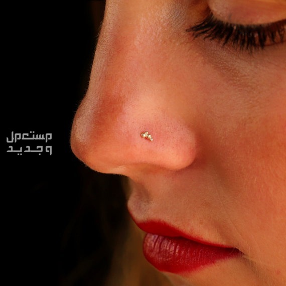 أشكال بيرسينج الأنف أسعارها وأنواعها البريسينج