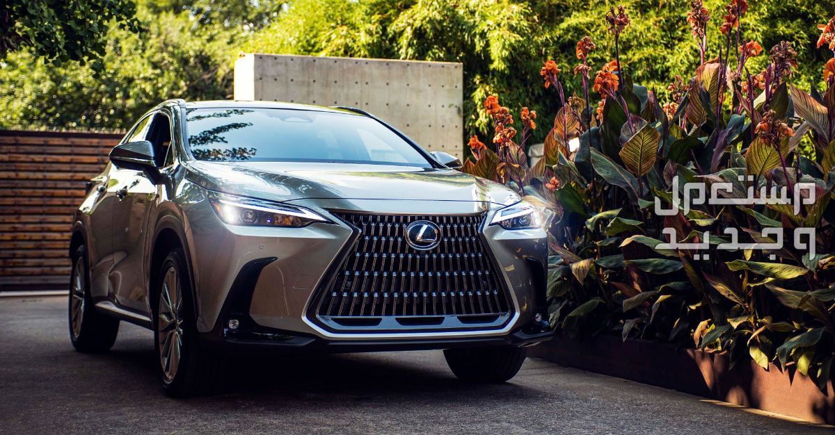 جميع سيارات لكزس 2023 ​سيارة لكزس LEXUS NX 2023