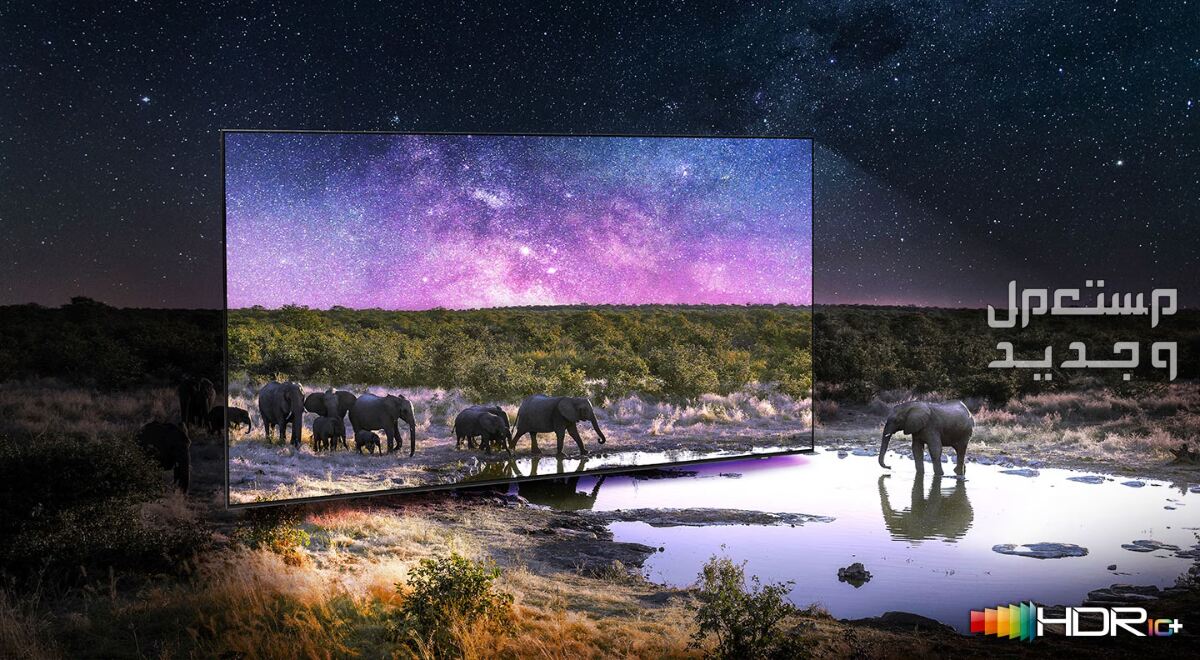 عرض ضخم على شاشة سامسونج 85 بوصة 8K.. السعر مفاجأة شاشة سامسونج  85 بوصة 8K تباين ديناميكي في الألوان