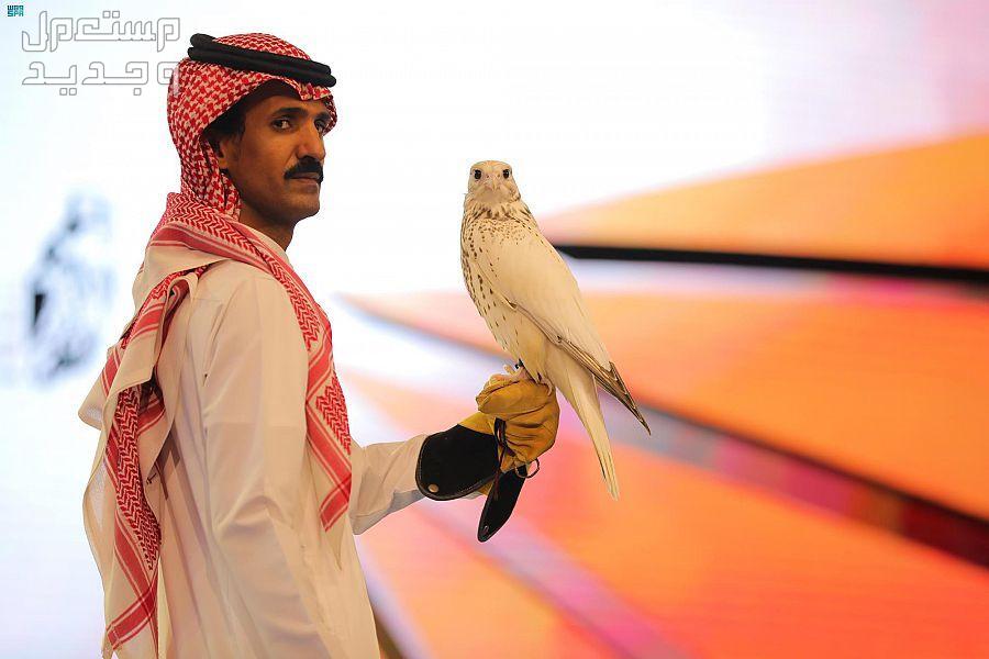رحلة إلى عالم صقر الشاهين والتعرف على كيفية الاعتناء به أغلى صقر شاهين في العالم