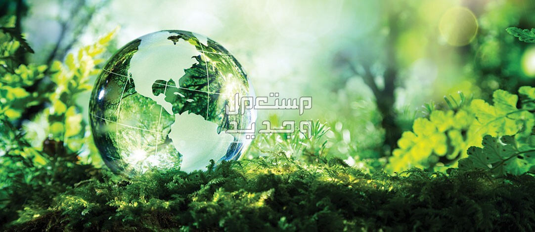 مكيفات دايكن بالأنواع والمواصفات الكاملة والصور الأسعار مكيف دايكن