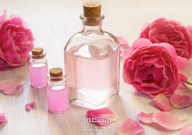 ماسكات طبيعية للعناية بالبشرة الجافة في الأردن ماء الورد