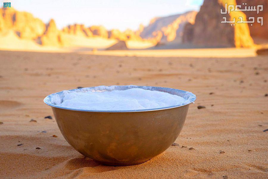تعرف على فوائد حليب الإبل ونصائح للعناية بها وتغذيتها في الأردن حليب الإبل