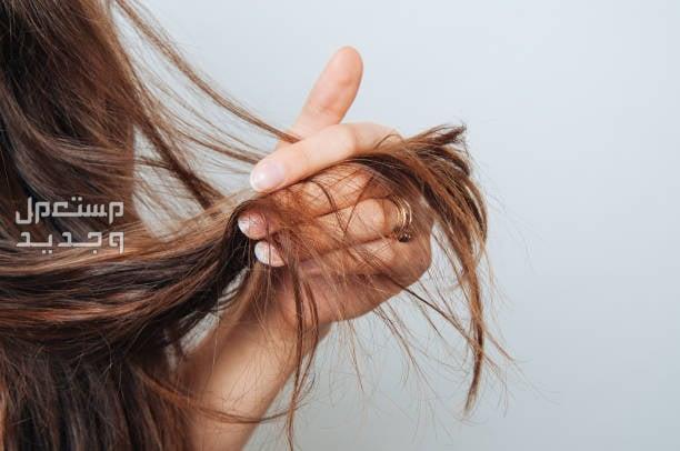 أفضل ماسك ترميم الشعر وأسعاره شعر تالف