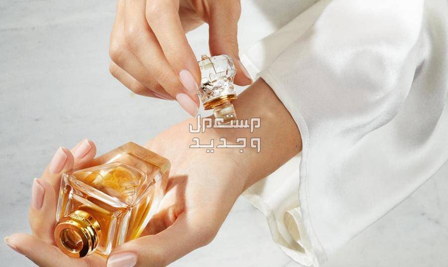 سعر عطور نسائية فخمة 2023 رائحة نسائية