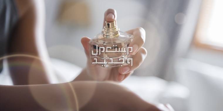 سعر عطور نسائية فخمة 2023 عطور نسائية