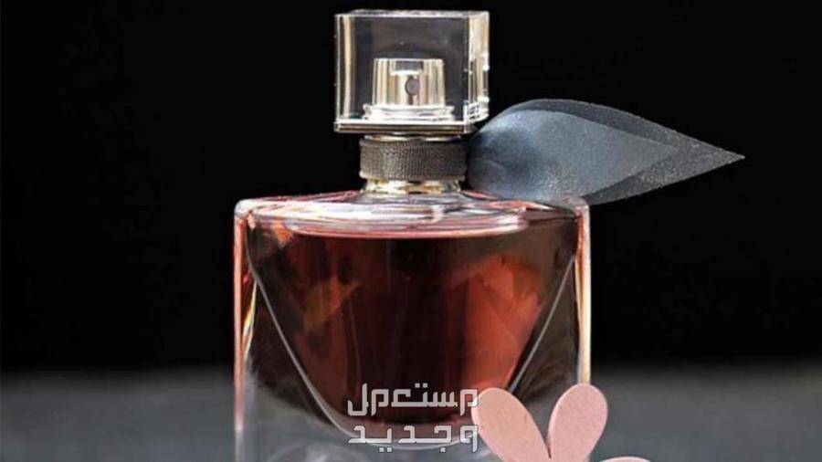 سعر عطور نسائية فخمة 2023 عطر حريمي فخم
