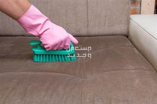 أفضل طرق تنظيف الكنب الشامواه من الأتربة بأقل مجهود تنظيف الكنب الشامواه