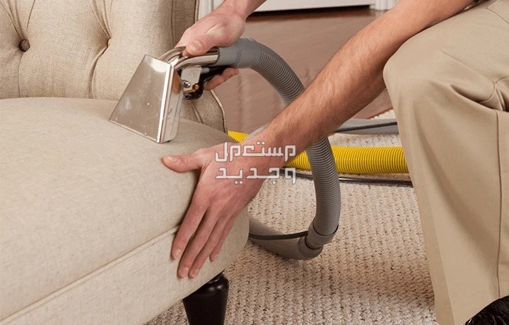 أفضل طرق تنظيف الكنب الشامواه من الأتربة بأقل مجهود