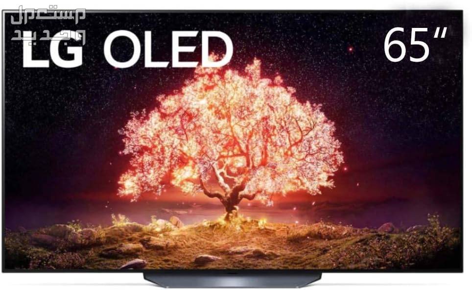 هذه هي افضل انواع شاشة oled بالمميزات والصور والاسعار شاشة oled نوع LG موديل OLED65B1PVA مقاس 65 بوصة