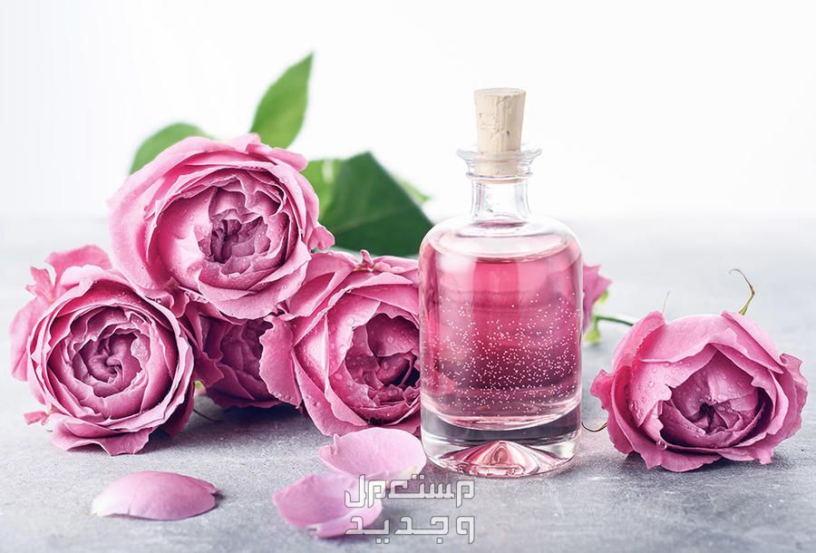 أفضل ماسكات للعروس قبل الزفاف ماسك ماء الورد