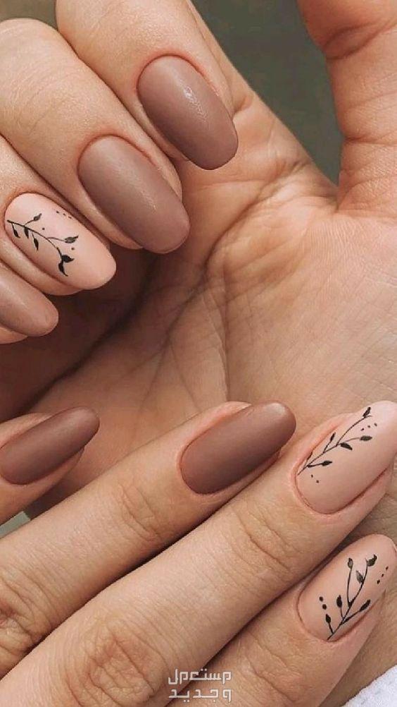 أفضل مزيل طلاء الأظافر واسعاره طلاء اظافر