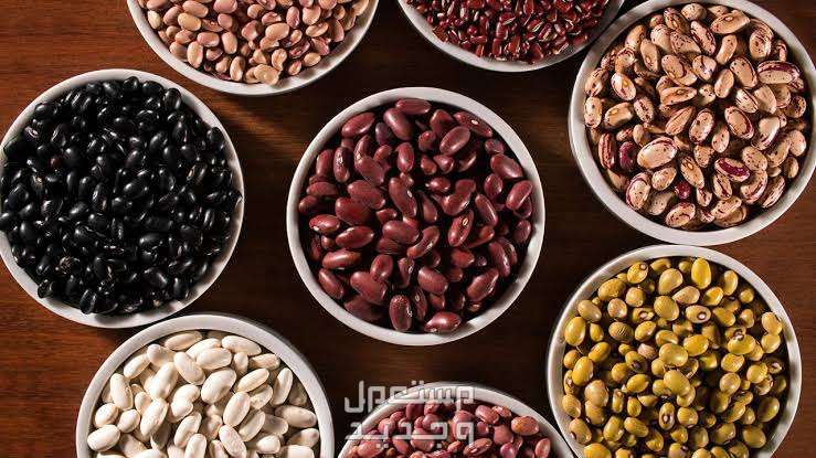 تعرف على أفضل غذاء عصافير منزليه صغيره الفاصوليا والمكسرات