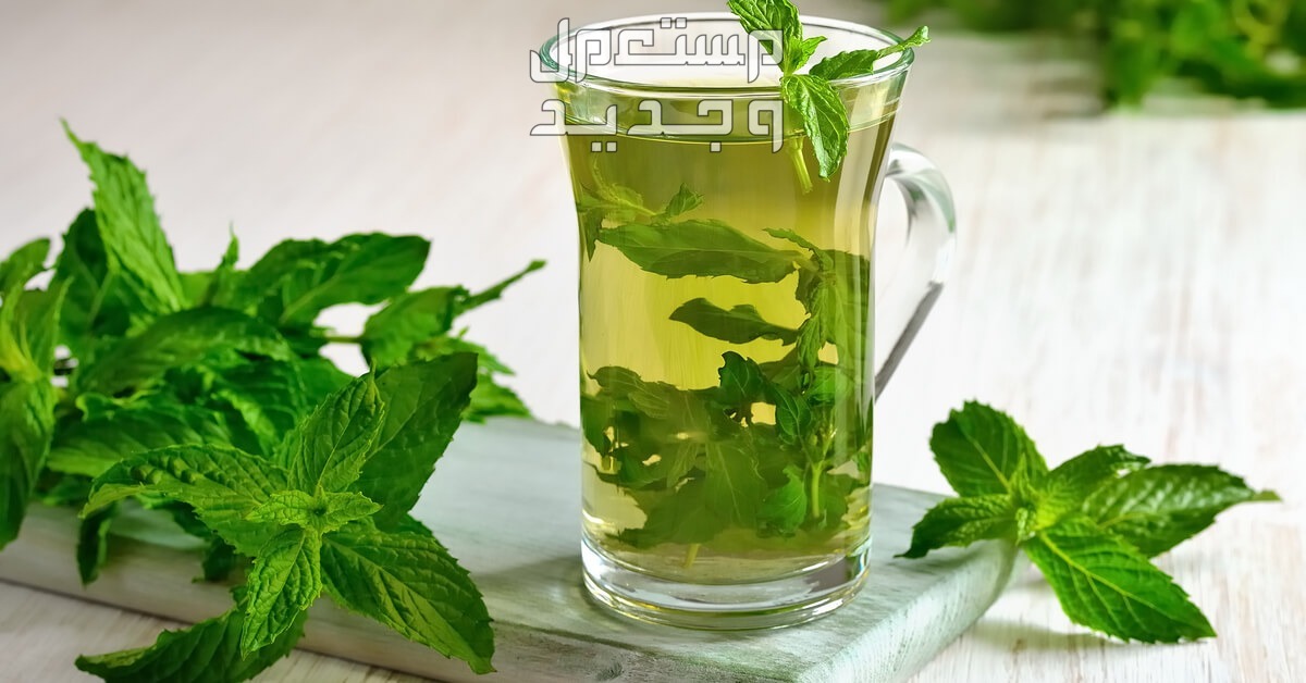 طرق تعطير غرف المنزل بمكونات طبيعية وغير مكلفة النعناع المغلي