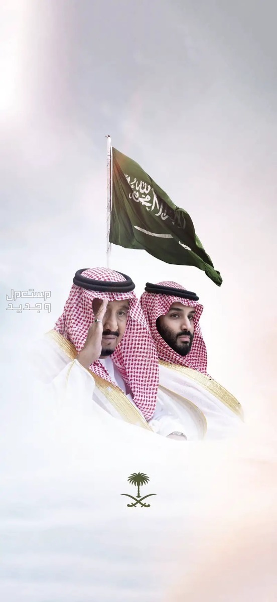 صور عن اليوم الوطني السعودي 1445 خلفيات تهنئة خلفيات عن اليوم الوطني السعودي