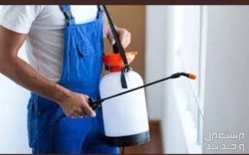 شركة مكافحة حشرات رش مبيدات بالمدينة المنورة